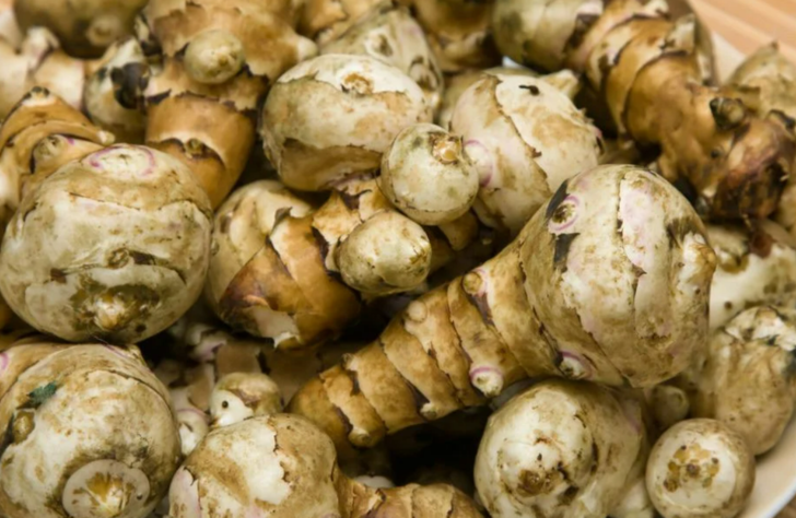 Hak ettiği değeri görmüyor! Yer elmasının mucizevi faydaları saymakla bitmiyor G1