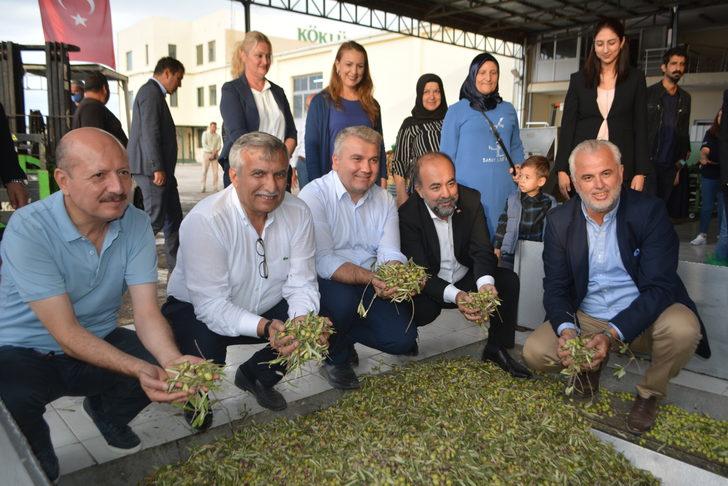 Ayvalık'ta sezonun ilk erken hasat zeytinleri sıkıldı G2