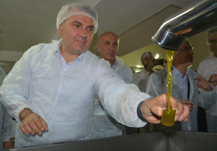 Ayvalık'ta sezonun ilk erken hasat zeytinleri sıkıldı G5