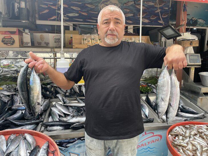 Amasra'da bol miktarda avlanan palamut tezgahları şenlendirdi G4