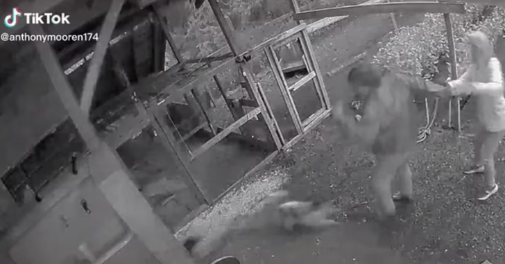 Sevgilisi ve köpeğiyle yürüyüşe çıkmıştı! Aniden ayı saldırınca öyle bir şey yaptı ki... G2