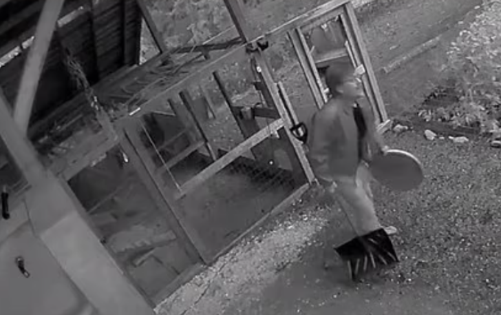 Sevgilisi ve köpeğiyle yürüyüşe çıkmıştı! Aniden ayı saldırınca öyle bir şey yaptı ki... G3