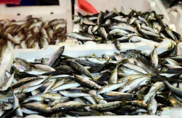 Balık pişirirken en sık yapılan yanlışlar: Balıklarınız çöpe gitmesin! Daha lezzetli olması için yapmanız gerekenler basit G1