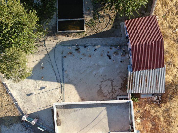 Eşi bile inanmadı! Şimdi milyonlar kazanıyor! Aylık 50 bin lira... G1