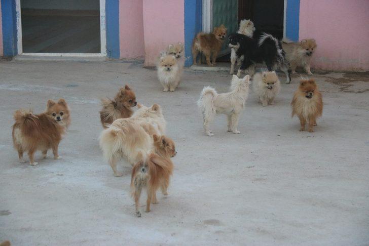 Eşi bile inanmadı! Şimdi milyonlar kazanıyor! Aylık 50 bin lira... G3