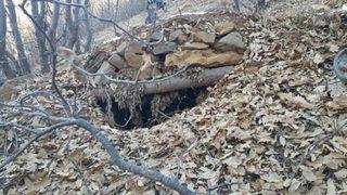 Bingöl Kiğı kırsalında PKK'ya darbe