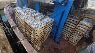 Kasa kasa palamutlarla döndüler: Vatandaşlara ücretsiz dağıtıldı