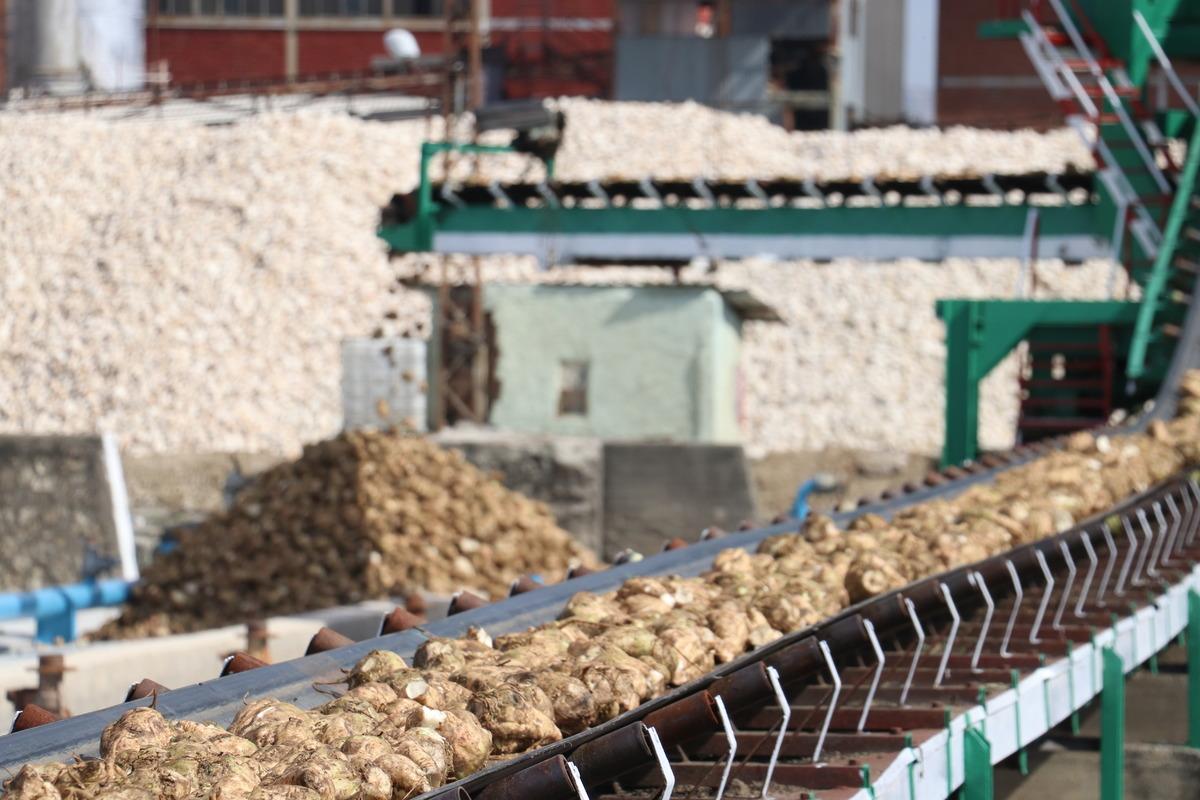 Kastamonu Şeker Fabrikası'nda 60. pancar alım kampanyası başladı