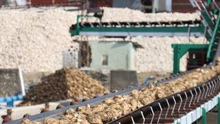 Kastamonu Şeker Fabrikası'nda 60. pancar alım kampanyası başladı