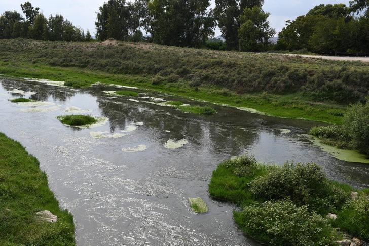Osmaniye'de atık su döküldüğü iddia edilen Savrun Çayı'ndan numune alındı G3