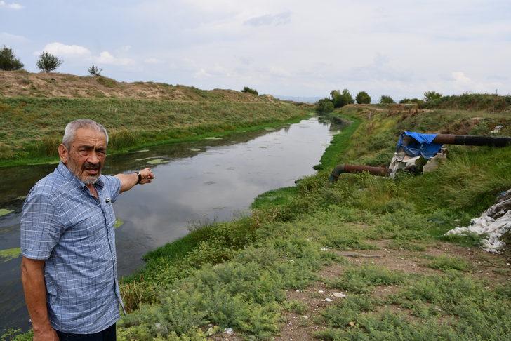Osmaniye'de atık su döküldüğü iddia edilen Savrun Çayı'ndan numune alındı G4