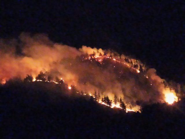 Uşak'ta çıkan orman yangınına müdahale ediliyor