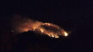 Uşak'ta çıkan orman yangınına müdahale ediliyor