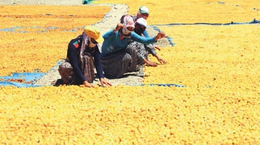 Malatya haberleri ve gelişmeleri Mynet.com'da