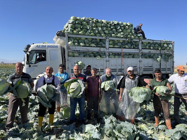 Niğde'de 130 bin ton lahana rekoltesi bekleniyor G5