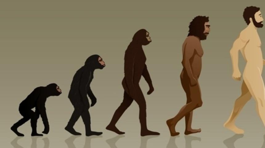 Vahdet yazarı: Maymunlar insandan türemiştir