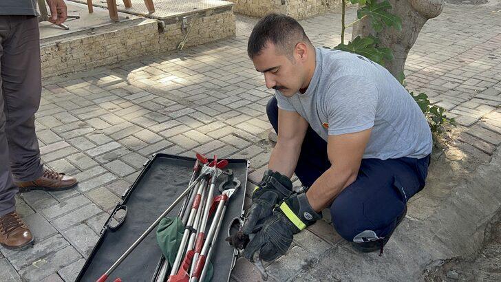 Alanya'da otomobilin motor kısmına sıkışan yavru kediyi itfaiye kurtardı G3