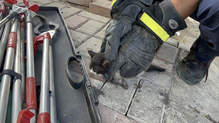 Alanya'da otomobilin motor kısmına sıkışan yavru kediyi itfaiye kurtardı G4