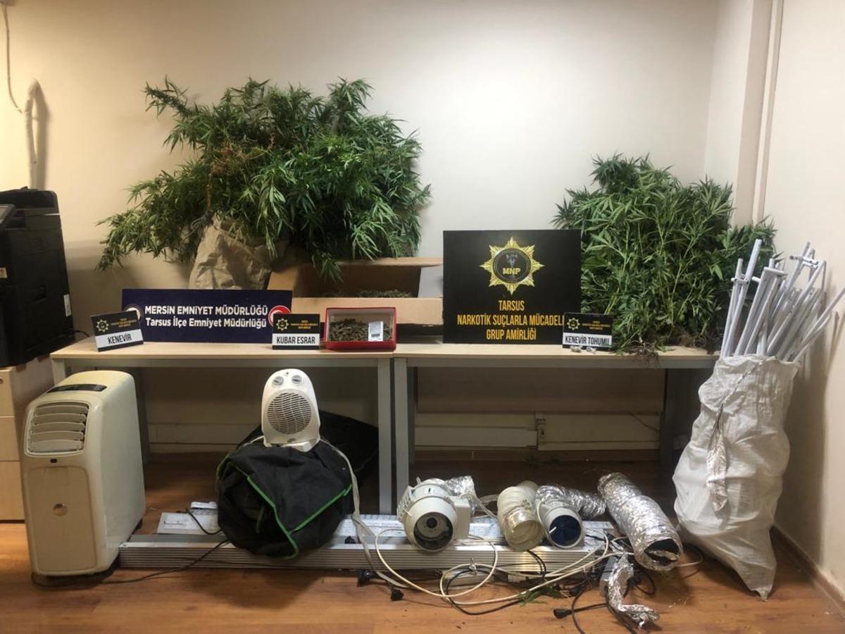 Mersin'de evinde Hint keneviri yetiştiren zanlı tutuklandı