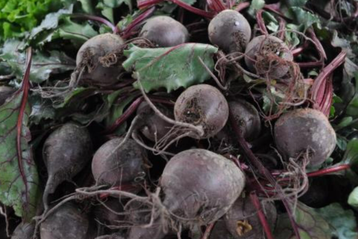 Bağışıklık için olmazsa olmaz: Tansiyonu düzenliyor, kanseri önlüyor G5