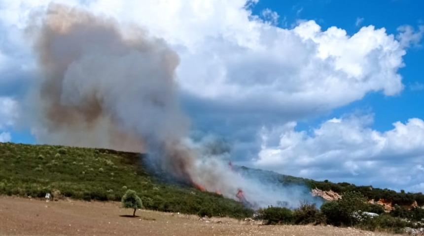 Çanakkale'de çıkan orman yangınına müdahale ediliyor