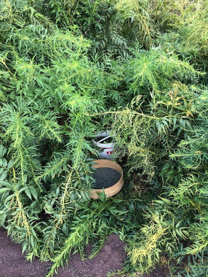 Eren Abluka-34 Narko Terör operasyonlarında 493 kilogram kubar esrar ele geçirildi G3