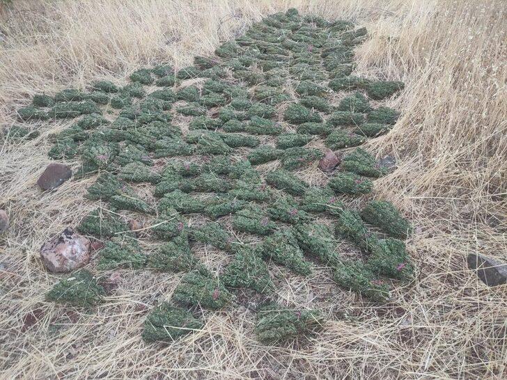 Eren Abluka-34 Narko Terör operasyonlarında 493 kilogram kubar esrar ele geçirildi G2