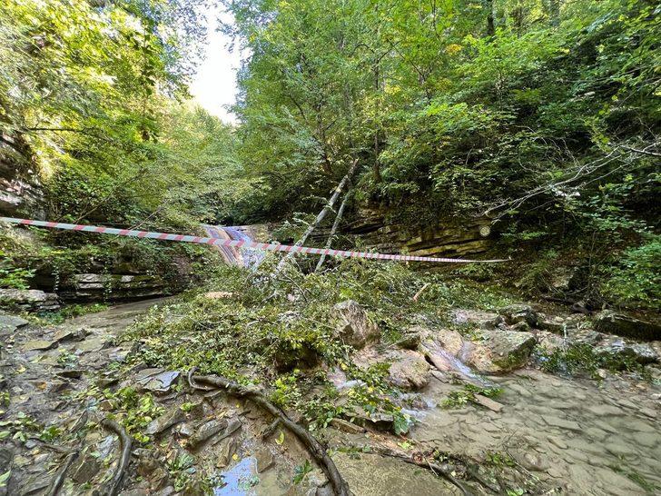 GÜNCELLEME - Sinop'ta üzerlerine ağaç devrilen 2 kişi öldü, 1 kişi yaralandı G2