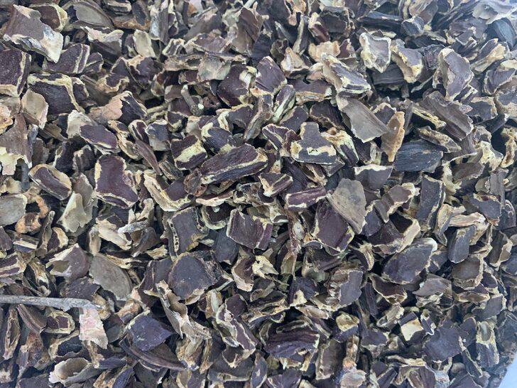 Adana'da kadınlar, harnup ve kozalakla aile ekonomilerine katkıda bulunuyor G2