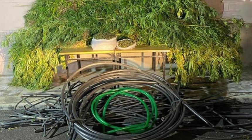 Adana'da 7 kilo 212 gram esrar ele geçirildi