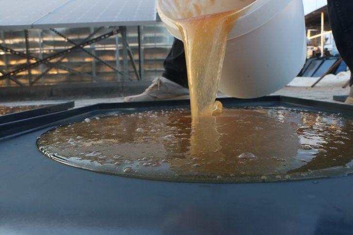 Şanlıurfa'da seralar kadınlara istihdam kapısı oluyor G2