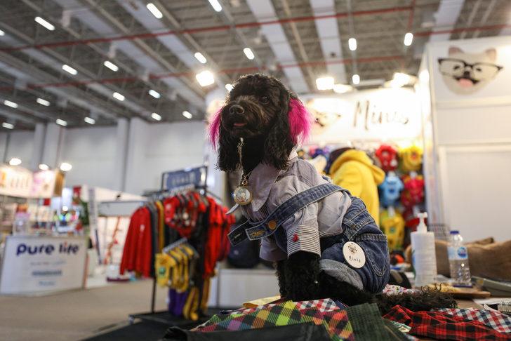 Uluslararası İzmir Evcil Hayvan Ürünleri Fuarı açıldı G3