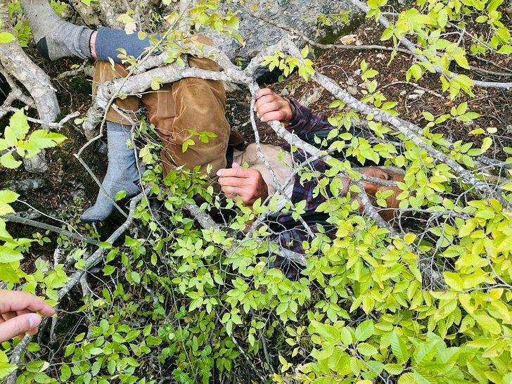 GÜNCELLEME - Tokat'ta kaybolan yaşlı adamı iz takip köpeği "Talan" buldu G1