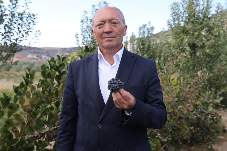 Nevşehir'de aronya hasadı yapıldı G5