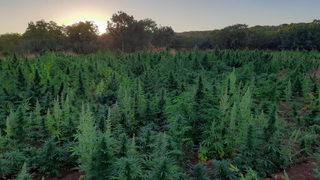 Teröre 'halk destek'li darbe! İçişleri Bakanlığı çarpıcı fotoğrafları paylaştı