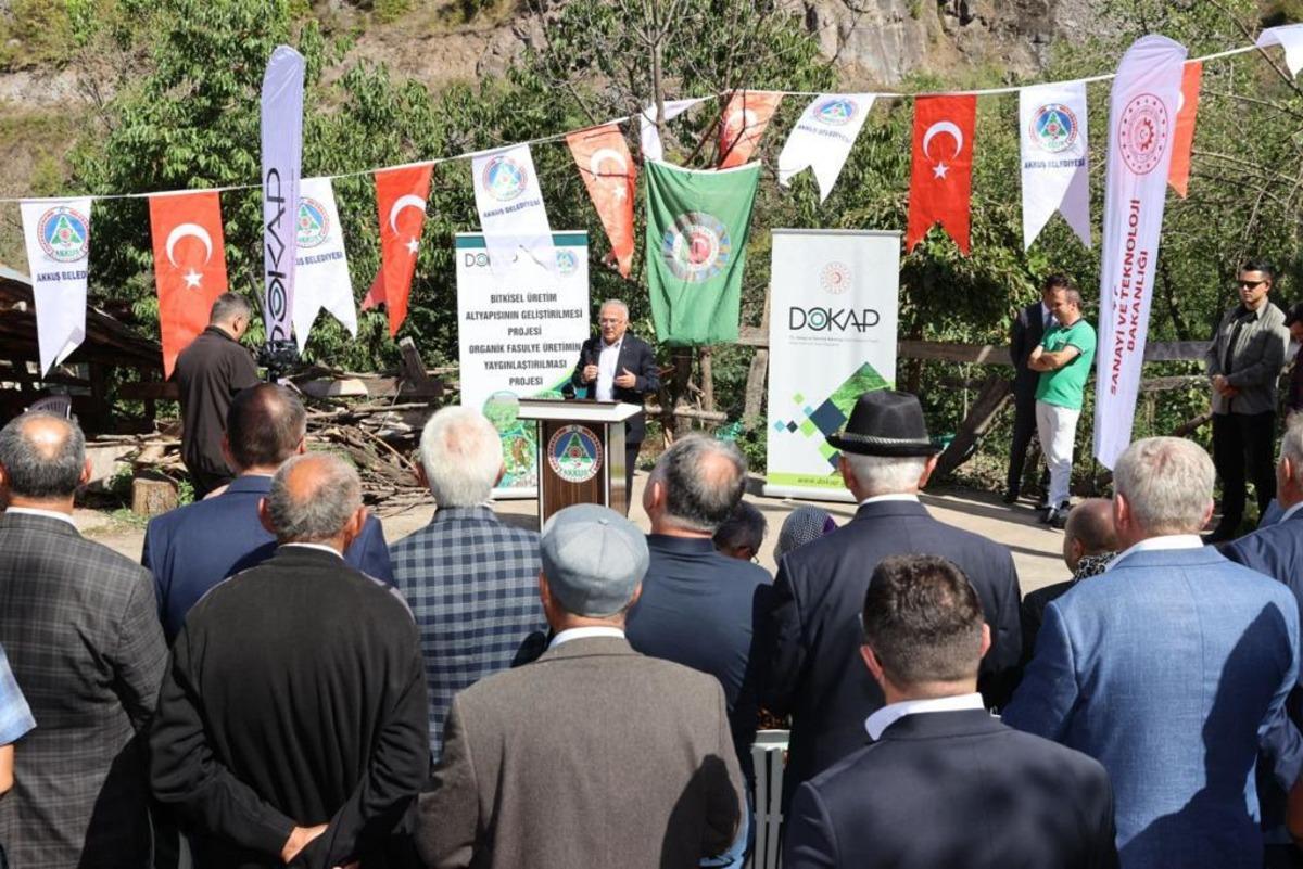 Tescilli Akkuş şeker fasulyesi t&ouml;renle hasat edildi