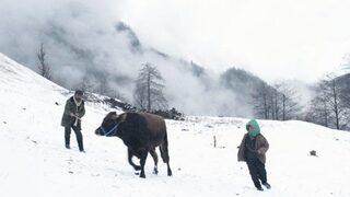 Türkiye'nin Oscar adayı: Kalandar soğuğu