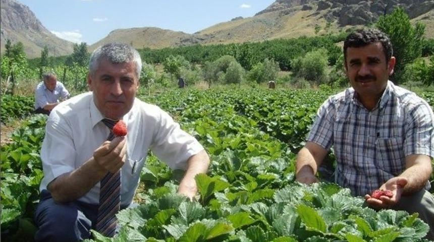 Malatya haberleri en son gelişmeler Mynet.com'da