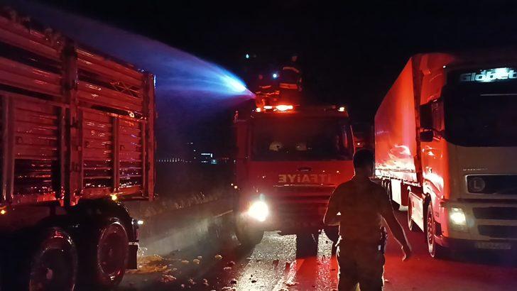 Diyarbakır'da pamuk yüklü tırda çıkan yangın hasara neden oldu G3