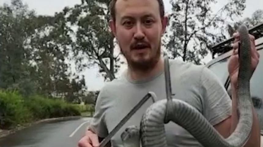 Tek ısırığı 100 kişiyi aynı anda öldürebiliyor! Dünyanın en zehirli yılanına karşı uyarı: Yanına yaklaşmayın