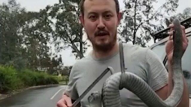 Tek ısırığı 100 kişiyi aynı anda öldürebiliyor! Dünyanın en zehirli yılanına karşı uyarı: Yanına yaklaşmayın