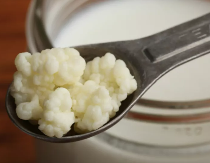 Vücudu baştan aşağıya yeniliyor: Hastalıkları söküp atıyor! Kefirin şaşırtan faydaları G1