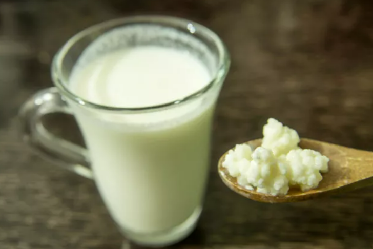 Vücudu baştan aşağıya yeniliyor: Hastalıkları söküp atıyor! Kefirin şaşırtan faydaları G2