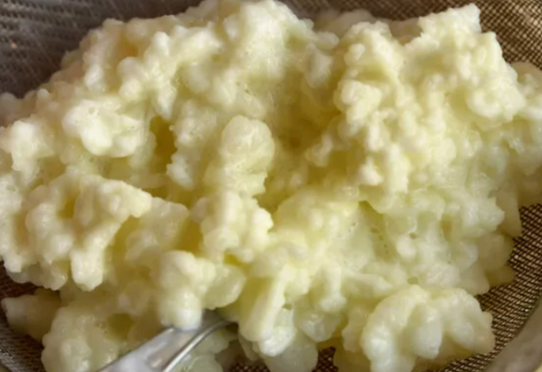 V&uuml;cudu baştan aşağıya yeniliyor: Hastalıkları s&ouml;k&uuml;p atıyor! Kefirin şaşırtan faydaları