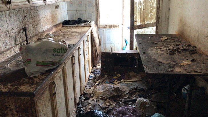 Adana'da çöp evde bulunan 5 kedi korumaya alındı G5