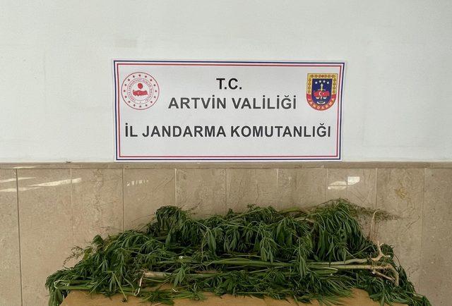 Artvin'de uyuşturucu operasyonunda 2 zanlı gözaltına alındı