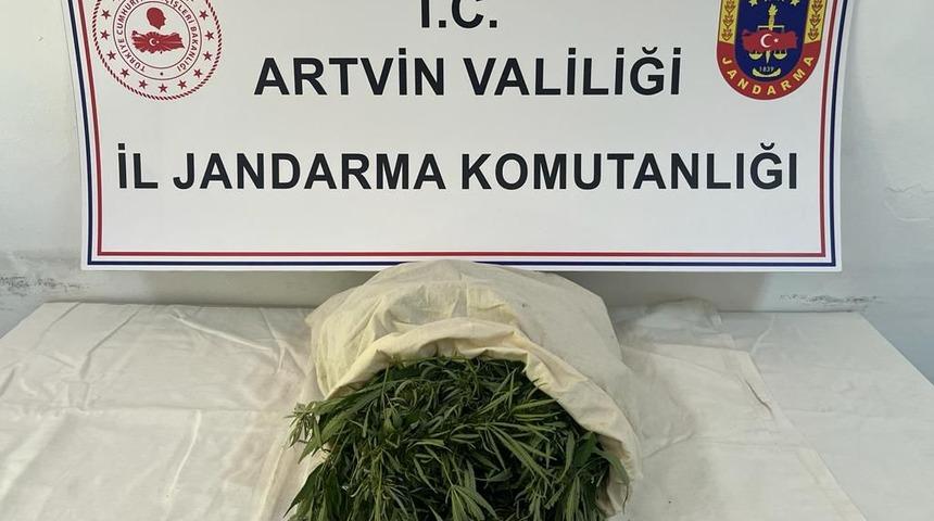Artvin'de uyuşturucu operasyonunda 2 zanlı g&ouml;zaltına alındı