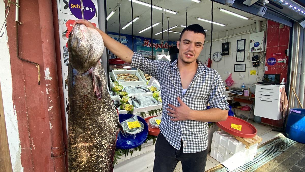 Tekirdağ'da oltayla 70 kilogram ağırlığında yayın balığı tutuldu