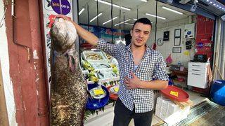 Tekirdağ'da oltayla 70 kilogram ağırlığında yayın balığı tutuldu