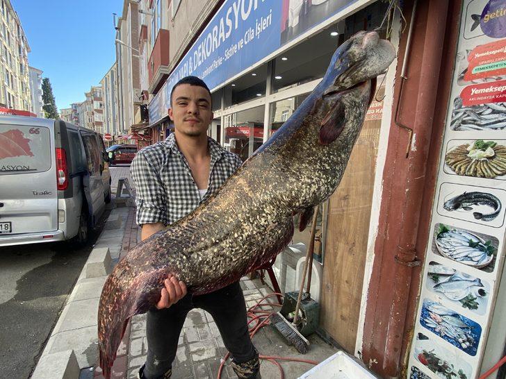 Tekirdağ'da oltayla 70 kilogram ağırlığında yayın balığı tutuldu G3